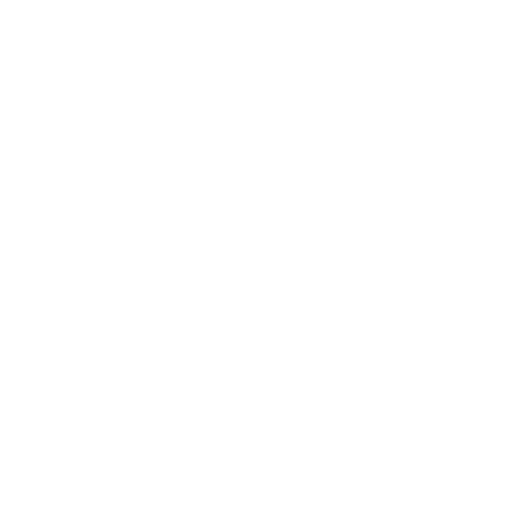 LPS-VPN Logo